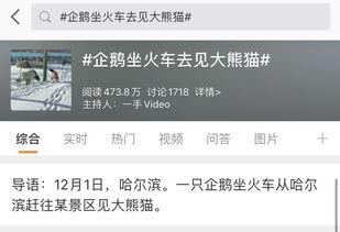 爆料网络热门话题大全最新,最新爆料话题大盘点